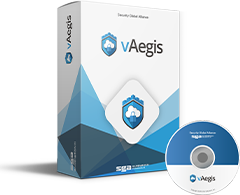vAegis 제품사진